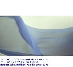 artports Kunst-News