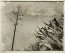Clemens-Tobias Lange, Fiore e Curtelle, 51,5 x 43cm, silver gelatine print on handmade chinapaper, 