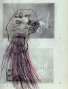 Walter Freiherr_von_dem_Bussche-Streithorst