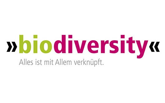 [aquamediale 16] – Das Kunstfestival im Spreewald