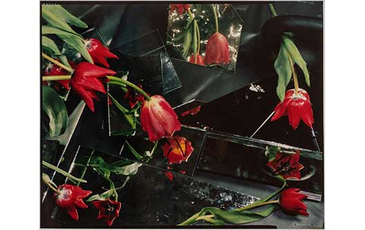 Bloom up! Die Sprache der Blumen, Staatliche Kunsthalle Baden-Baden
