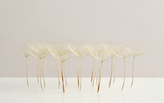 Pure Nature Art - Naturmaterialien in der zeitgenössischen Kunst